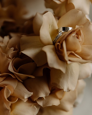 �������� ����� �����