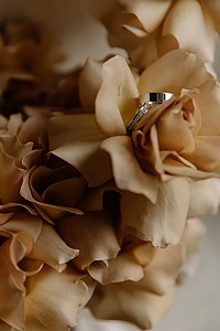 �������� ����� �����