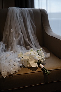 �������� ����� ��������