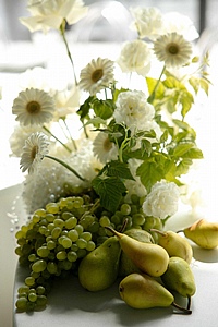 �������� ��� �����